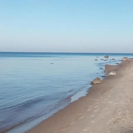 Charming In With Terrace *