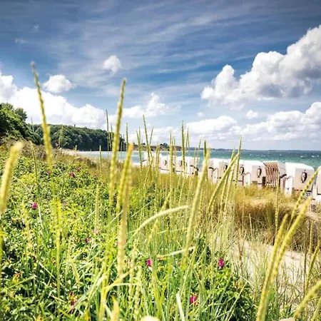 Charming In With Terrace