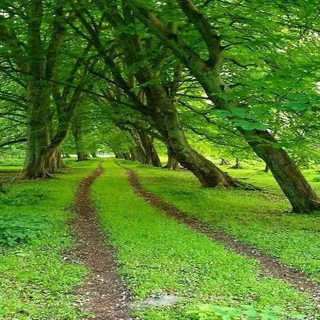 Charming In With Terrace