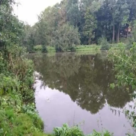 Charming In With Terrace