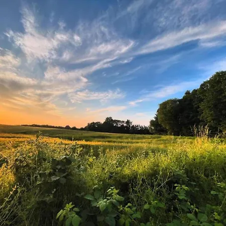 Charming In With Terrace