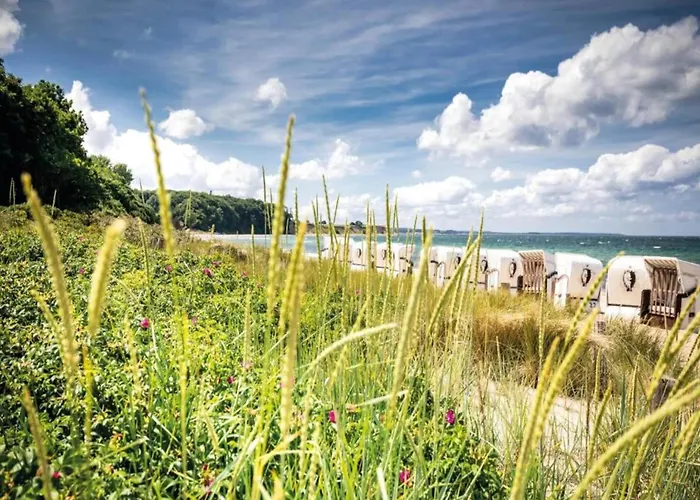 Charming In With Terrace