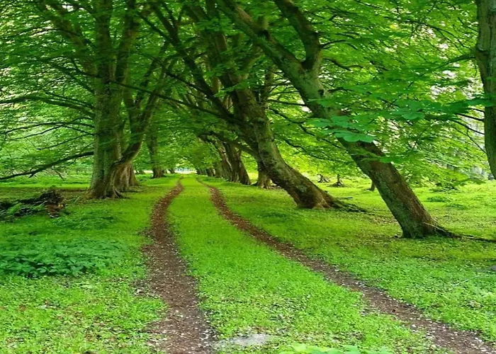 Charming In With Terrace