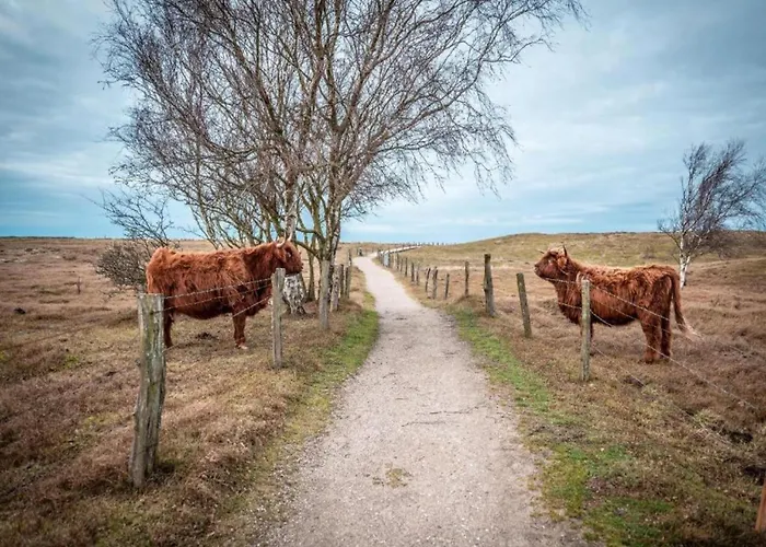 Charming In With Terrace * Oldenburg in Holstein