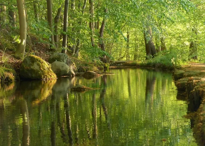 Charming In With Terrace